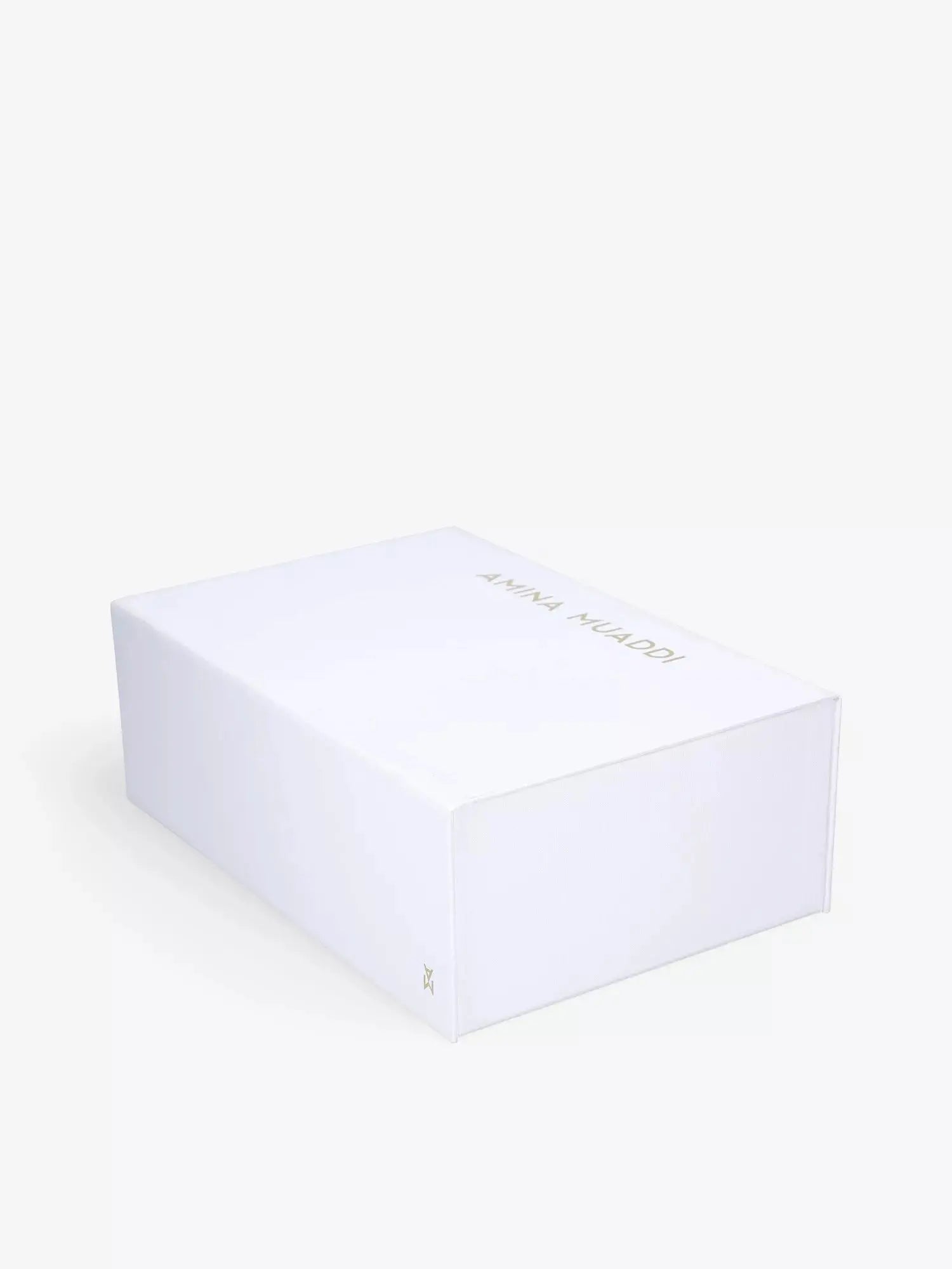 Women's Holli 95 sling-back lace heeled courts Amina Muaddi